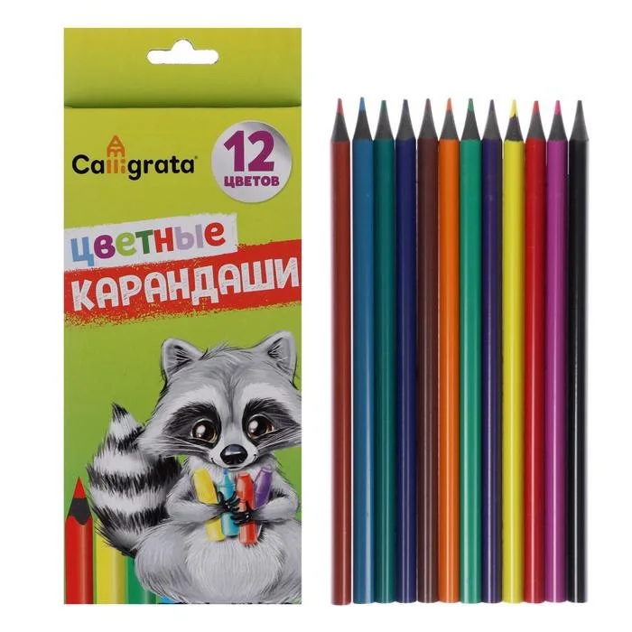 Карандаши цветные 12 цветов