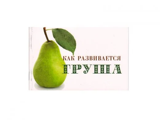 Как развивается Груша