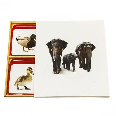 Монтессори карточки "Семья животных"